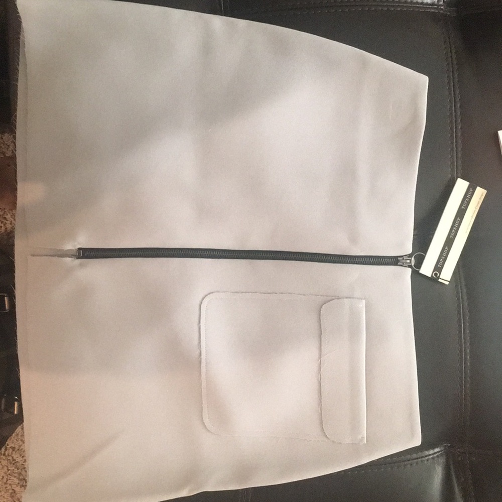 Topshop Skirt